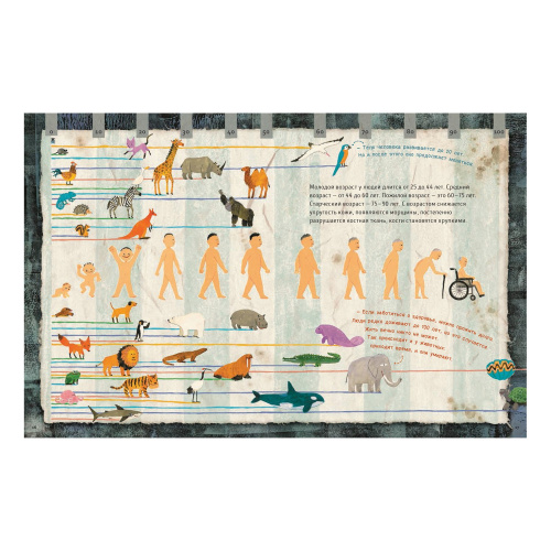 Человековедение. Один день в звериной школе