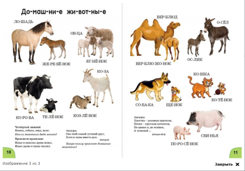 Книга Веселая отвечалка љ2