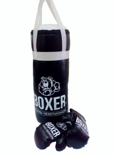 Набор Боксерский љ2