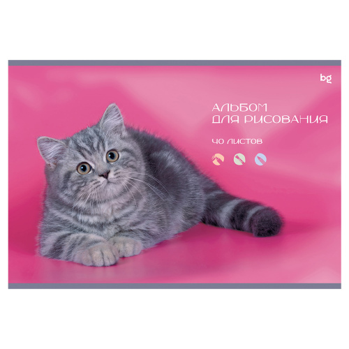 Альбом для рисования 40л. BG Котик и собачка