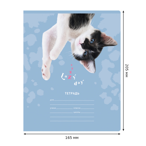 Тетрадь линия 18л. BG Super Mix-24