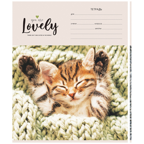 Тетрадь клетка 24л. ArtSpace Питомцы. Lovely Cat