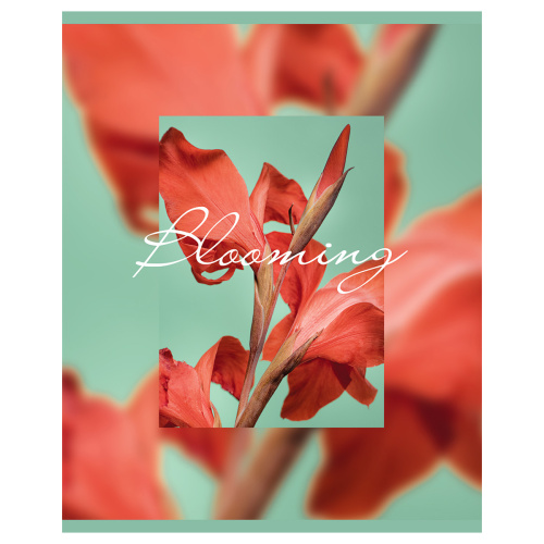 Тетрадь клетка 48л. А5 BG Blooming