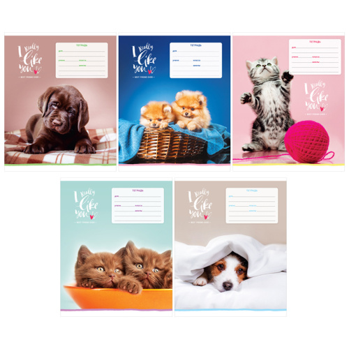 Тетрадь косая линия 12л. ArtSpace Питомцы. I really like