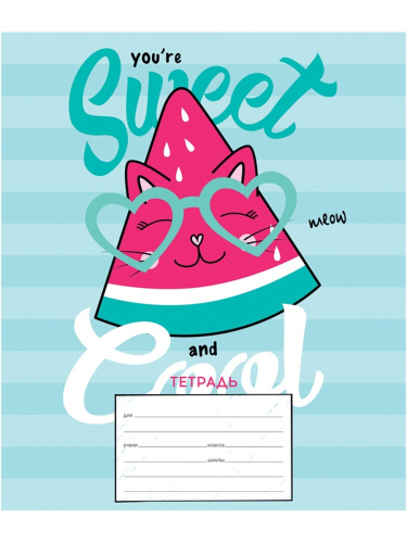 Тетрадь клетка 24л. ArtSpace Рисунки. Trendy meow