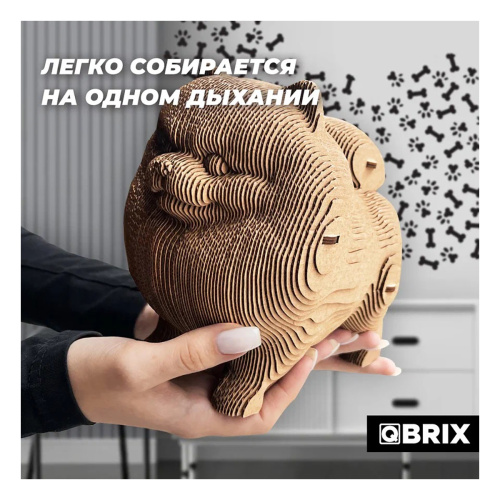 Конструктор картонный 3D. Шпиц