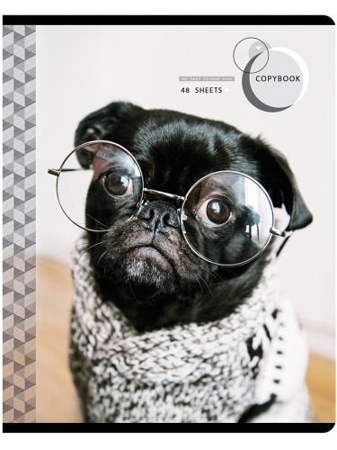 Тетрадь клетка 48л. ArtSpace Питомцы. Pug
