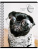Тетрадь клетка 48л. ArtSpace Питомцы. Pug