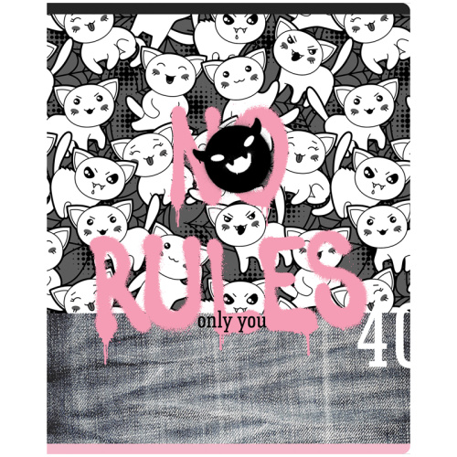 Тетрадь клетка 40л. А5 BG No rules