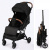 Коляска прогулочная LUNA LUX(Black)
