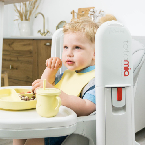 Стульчик Tatamia Peg Perego Follow Me (Ice)