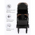 Коляска прогулочная LUNA LUX(Black)