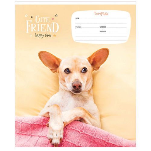 Тетрадь линия 24л. ArtSpace Питомцы. Happy time