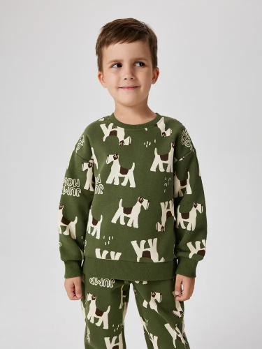 Свитшот ACOOLA