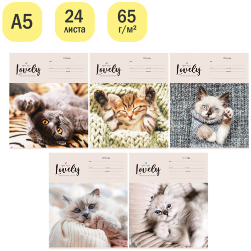 Тетрадь клетка 24л. ArtSpace Питомцы. Lovely Cat