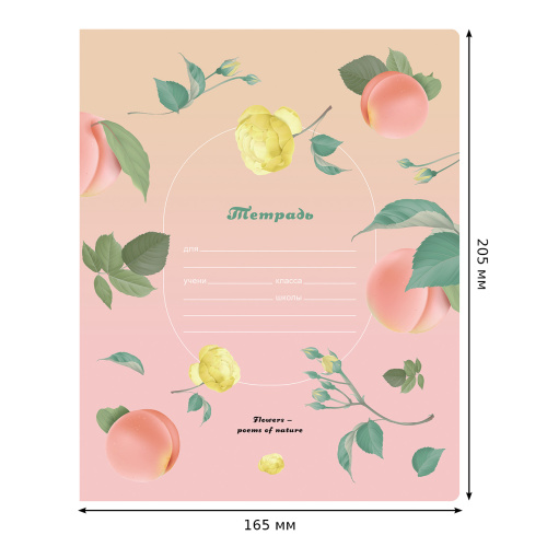 Тетрадь линия 12л. BG Super Mix-16