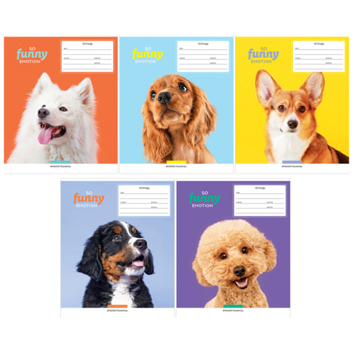 Тетрадь линия 12л. ArtSpace Питомцы. So funny