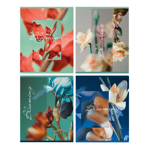 Тетрадь клетка 48л. А5 BG Blooming