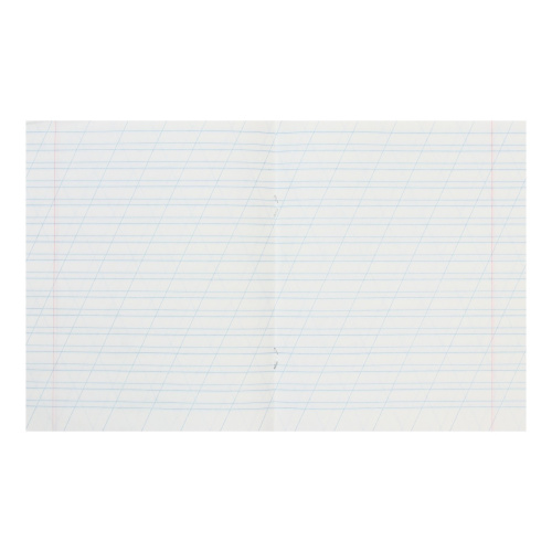 Тетрадь косая линия сер. 65%