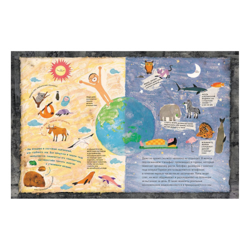 Человековедение. Один день в звериной школе