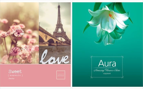 Тетрадь клетка 96л. ArtSpace Микс. Girl s collection