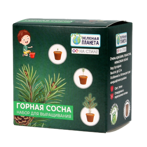 Набор для выращивания Горная Сосна