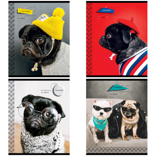 Тетрадь клетка 48л. ArtSpace Питомцы. Pug