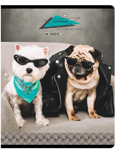 Тетрадь клетка 48л. ArtSpace Питомцы. Pug