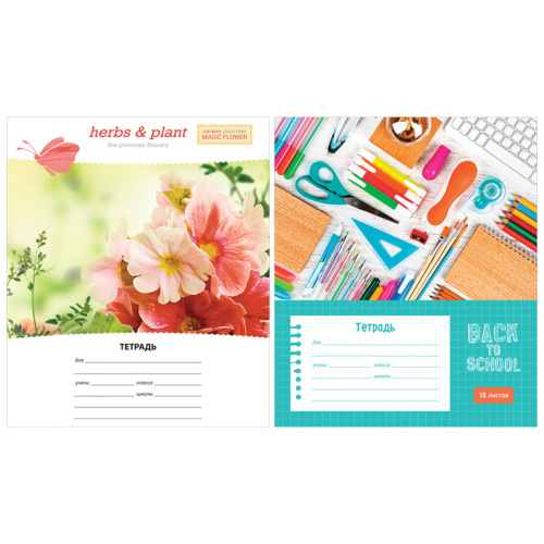 Тетрадь линия 18л. ArtSpace Микс. Ассорти