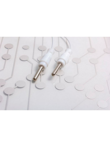 Электровикторина Умнички