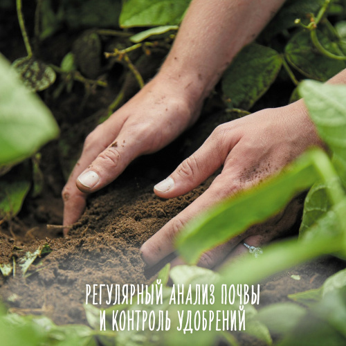 Пюре Gerber цветная капуста 80 г