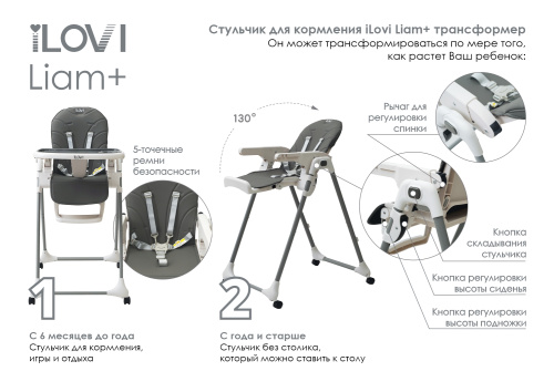 Стульчик для кормления iLovi Liam Plus (Mint)