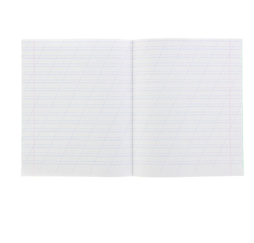 Тетрадь косая линия12л.