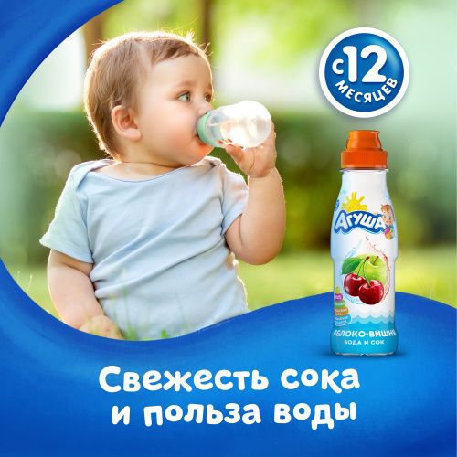 Вода с соком Агуша Садовые ягоды 300 мл 12 месяцев