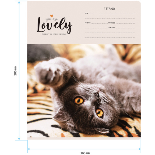 Тетрадь клетка 24л. ArtSpace Питомцы. Lovely Cat
