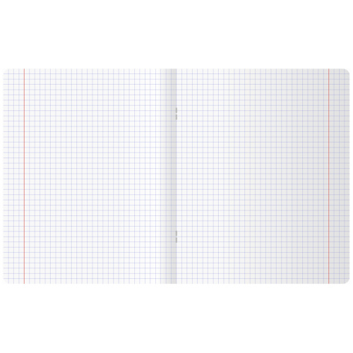 Тетрадь клетка 24л. BG На тиктоке