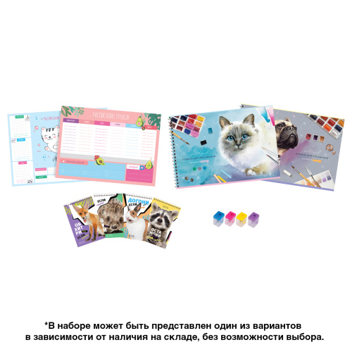 Набор первоклассника ArtSpace, универсальный 32 предмета