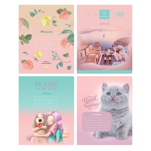 Тетрадь линия 12л. BG Super Mix-16