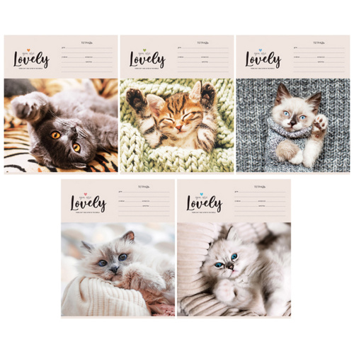 Тетрадь клетка 12л. ArtSpace Питомцы. Lovely Cat