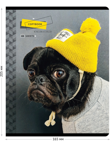 Тетрадь клетка 48л. ArtSpace Питомцы. Pug
