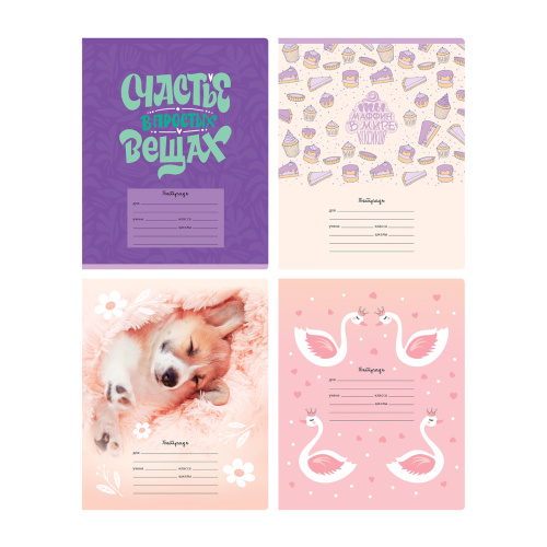 Тетрадь линия 18л. BG Mix-12. Девочки