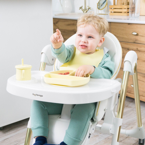 Стульчик Peg Perego Prima Pappa Follow Me (Ice)