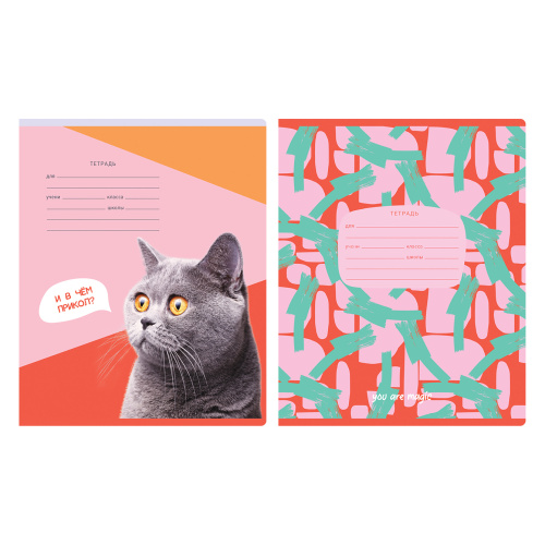 Тетрадь линия 12. серия: Mix-8 Девочки