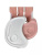 Стульчик для кормления 2в1 Prego Kd2(Розовый)