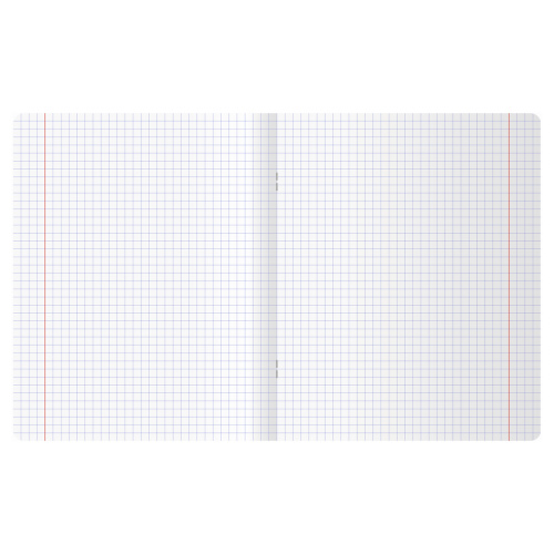 Тетрадь клетка 12л. BG Эксклюзив. Путешествие птенцов