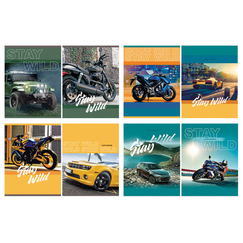 Тетрадь клетка 96л. А5 BG Stay wild