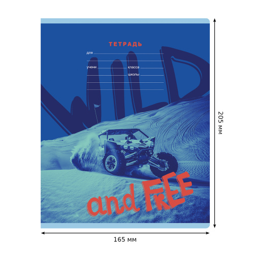 Тетрадь линия 18л. BG Mix-12. Мальчики