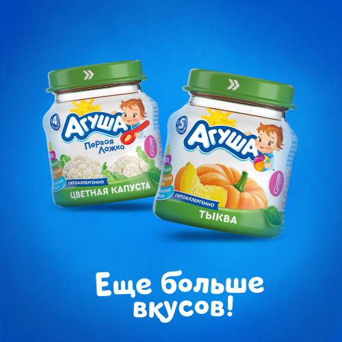 Пюре Агуша тыква 80 г
