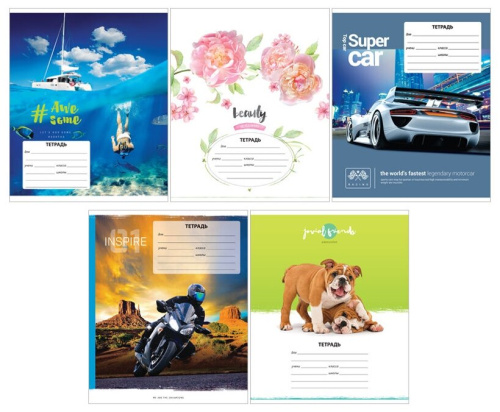 Тетрадь клетка 24л. ArtSpace Микс. Ассорти