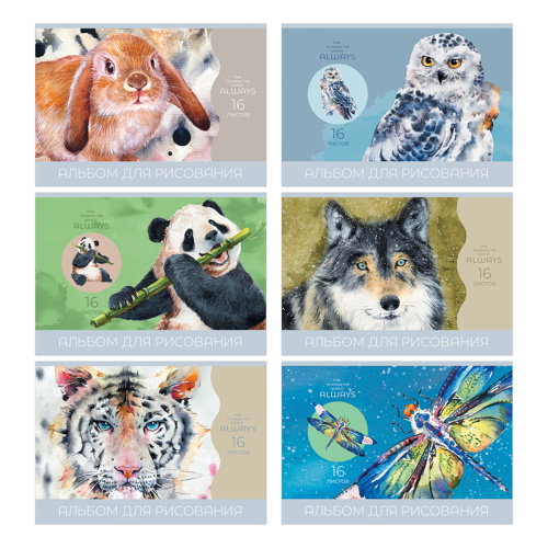 Альбом д/рисования А5 16 листов BG Мир вокруг